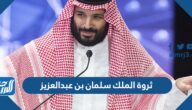 كم تبلغ ثروة الملك سلمان بن عبدالعزيز كم تبلغ ثروة الملك سلمان بن عبدالعزيز