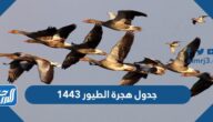 جدول هجرة الطيور 1443 مواعيد هجرة الطيور 2022