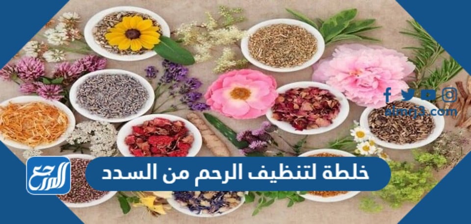 خلطة لتنظيف الرحم من السدد