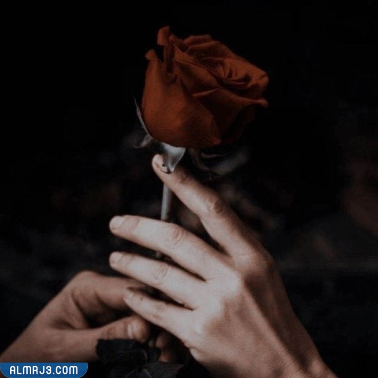 خلفيات بنات سوداء كيوت