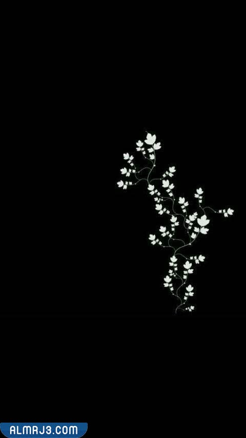 خلفيات بنات سوداء كيوت