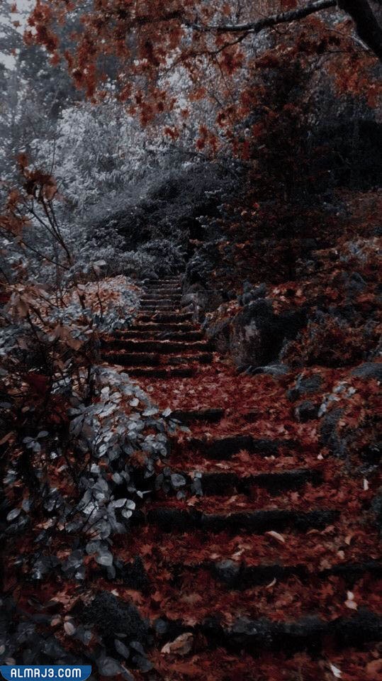 خلفيات بنات سوداء كيوت