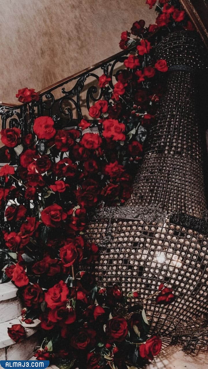 خلفيات بنات سوداء كيوت