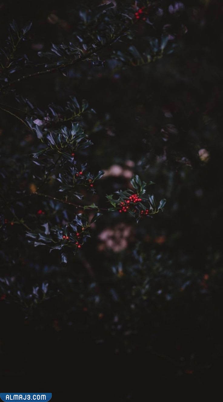 خلفيات بنات سوداء كيوت