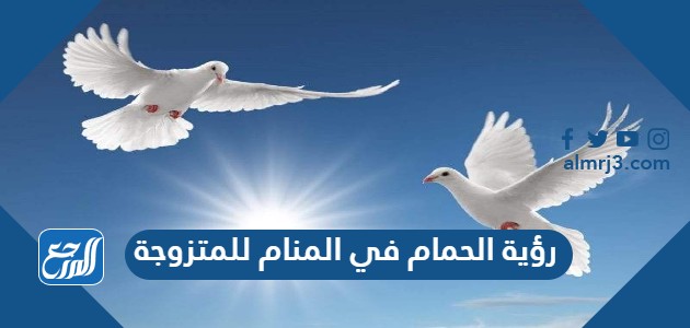 رؤية الحمام في المنام للمتزوجة