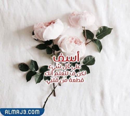 رسالة إعتذار مؤثرة لحبيبتي