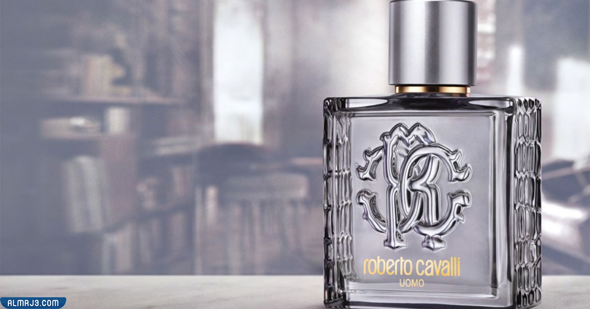 روبرتو كفالي أومو سيلفر ايسنس