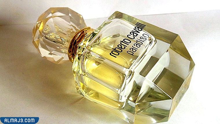 روبرتو كفالي باراديسو