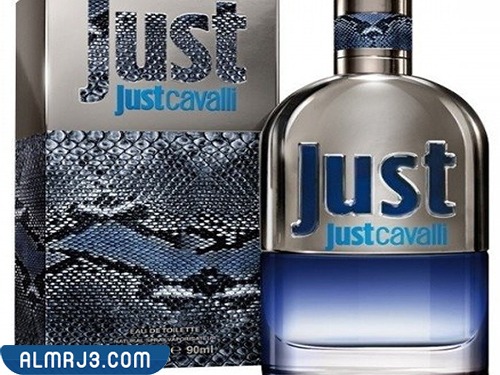 روبرتو كفالي جست كفالي