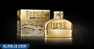 روبرتو كفالي جست كفالي