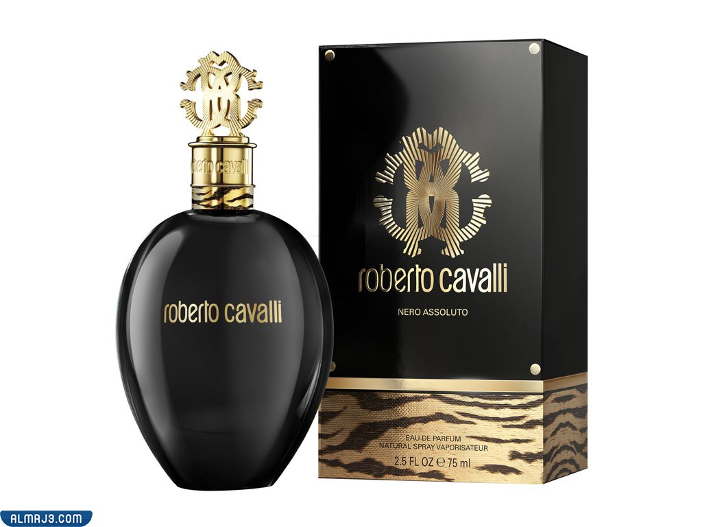 روبرتو كفالي نيرو اسولوتو