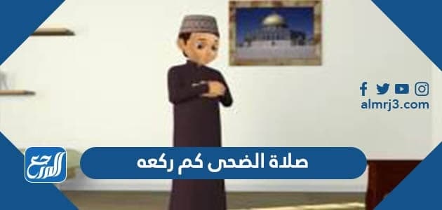 صلاة الضحى كم ركعه