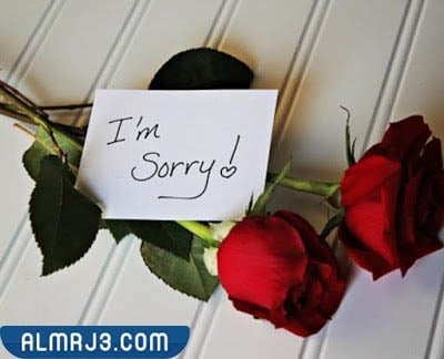 صور اعتذار لحبيبتي