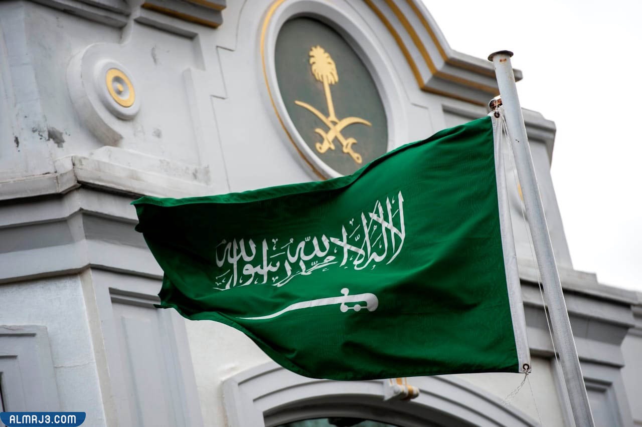 علم وطني المملكة العربية السعودية لونه