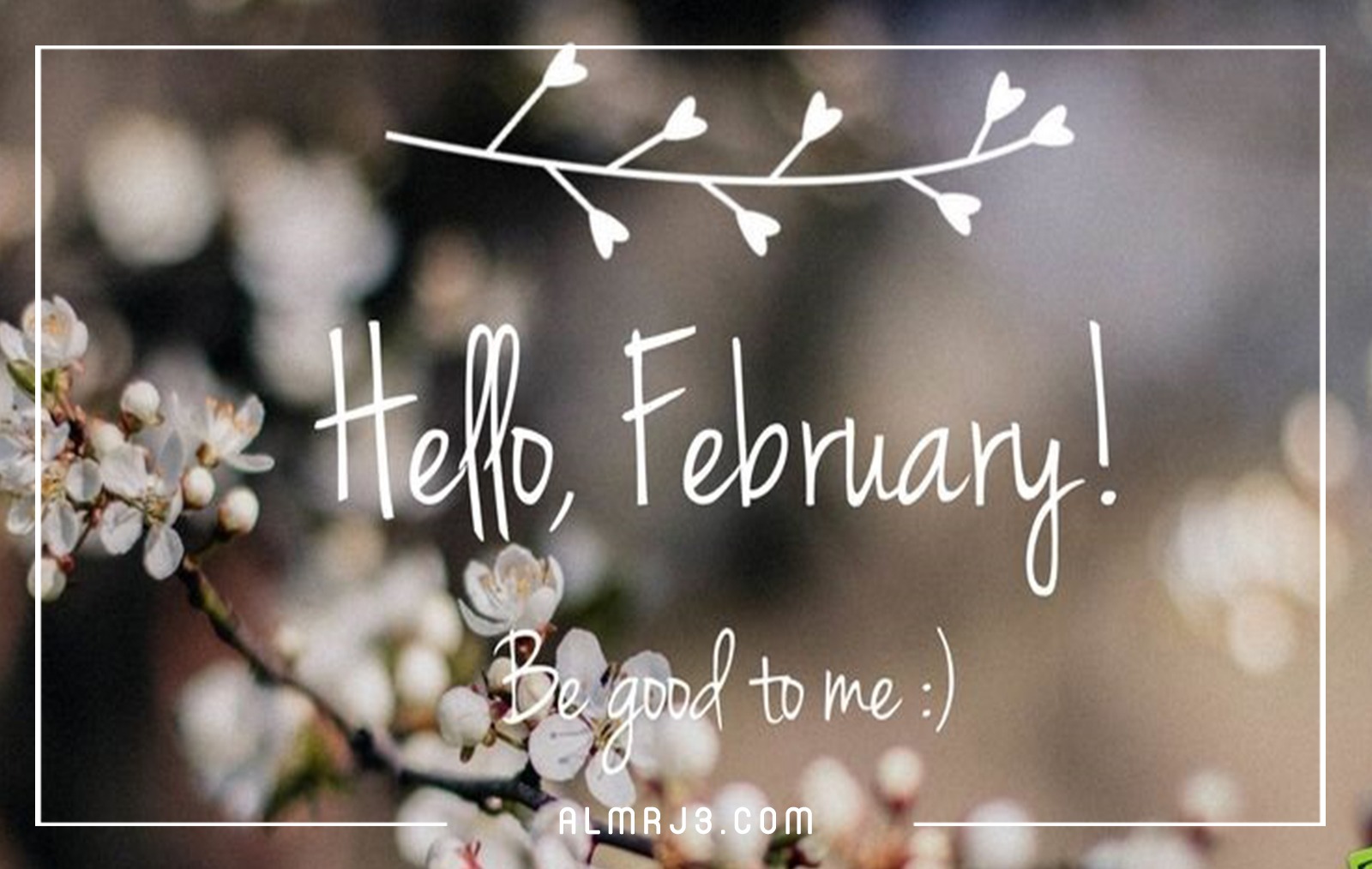 صور هلا فبراير hello february