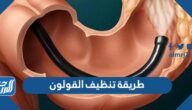 طريقة تنظيف القولون من الغازات بالأعشاب