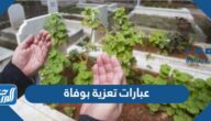 عبارات تعزية بوفاة ومواساة شخص عزيز