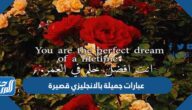 عبارات جميلة بالانجليزي قصيرة مترجمة بالعربي