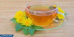 عشب الهندباء