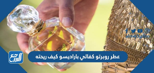 عطر روبرتو كفالي باراديسو كيف ريحته