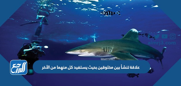 علاقة تنشأ بين مخلوقين بحيث يستفيد كل منهما من الأخر