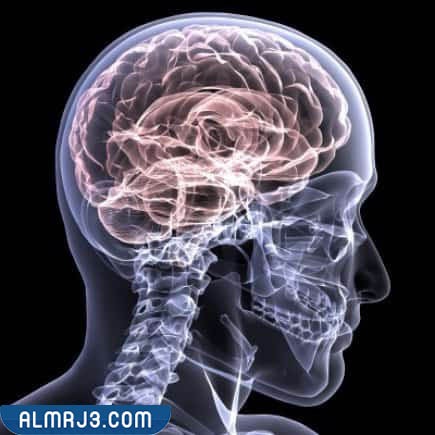 علامات الموت الدماغي