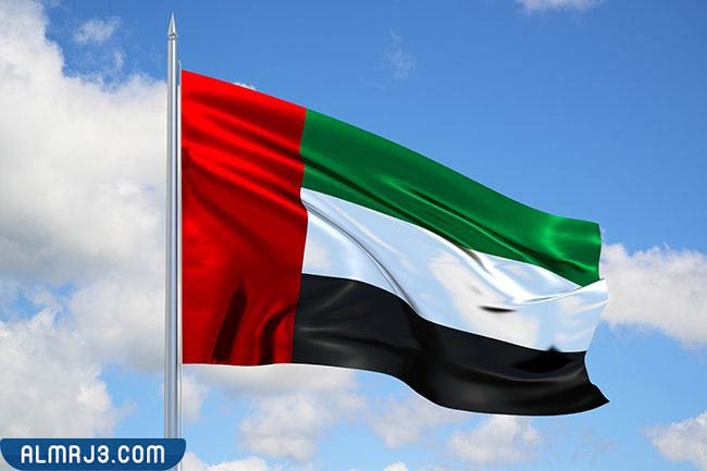 علم دولة الإمارات