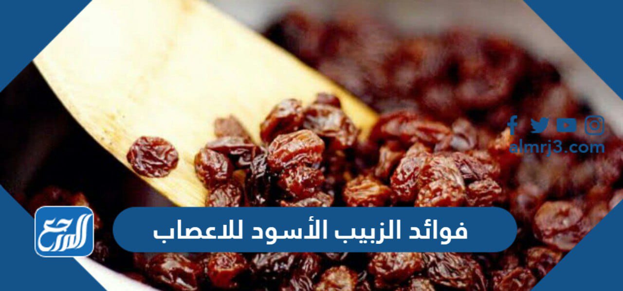 فوائد الزبيب الأسود للأعصاب