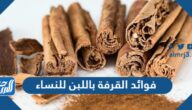 فوائد القرفة باللبن للنساء فوائد القرفة باللبن للنساء