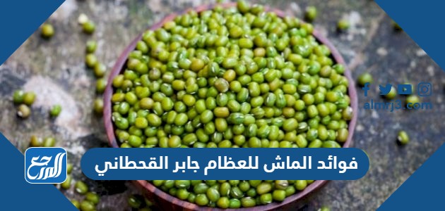 فوائد الماش للعظام جابر القحطاني