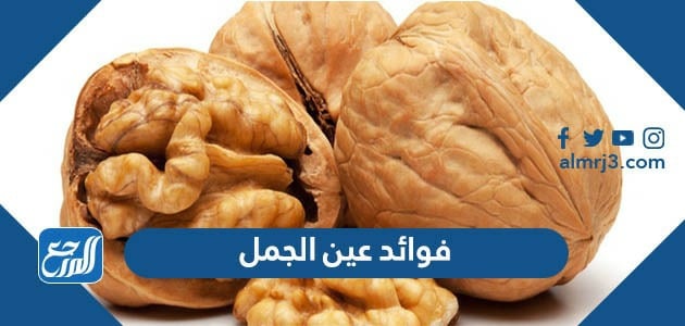 فوائد عين الجمل