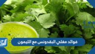 فوائد مغلي البقدونس مع الليمون لإنقاص الوزن