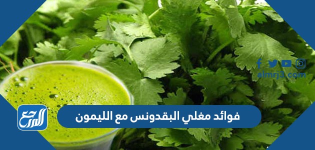 فوائد مغلي البقدونس مع الليمون لإنقاص الوزن