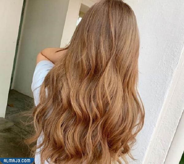 كتالوج اسماء الوان صبغات الشعر بالعربي - اللون الخشبي