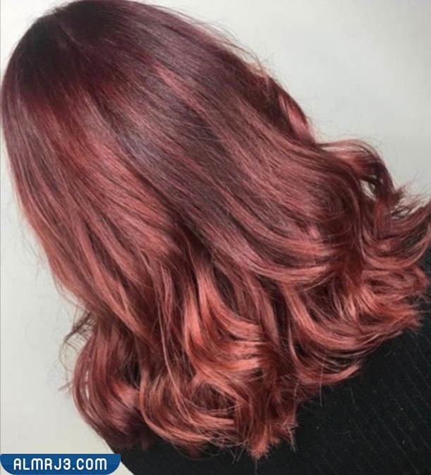 كتالوج اسماء الوان صبغات الشعر بالعربي - اللون الماهاجوني