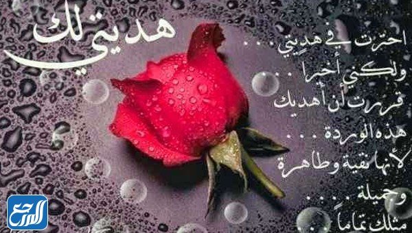 كلام عن عيد الحب للزوج 2022