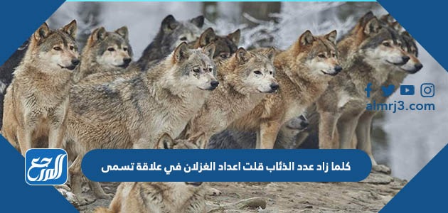 كلما زاد عدد الذئاب قلت اعداد الغزلان في علاقة تسمى