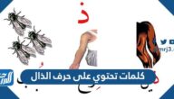 كلمات تحتوي على حرف الذال
