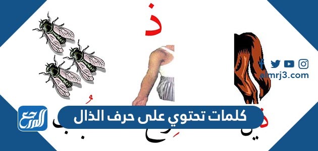 كلمات تحتوي على حرف الذال
