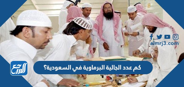 كم عدد الجالية البرماوية في السعودية