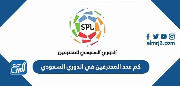 كم عدد المحترفين في الدوري السعودي