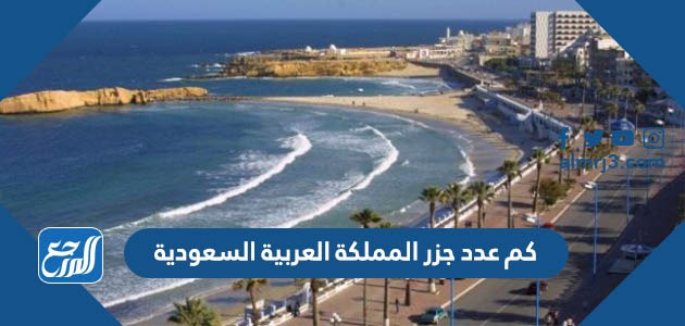 كم عدد جزر المملكة العربية السعودية