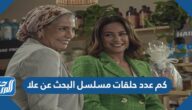 كم عدد حلقات مسلسل البحث عن علا