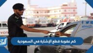 كم عقوبة قطع الإشارة في السعودية 1447