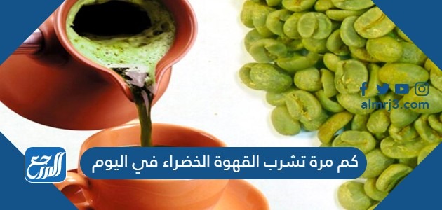 كم مرة تشرب القهوة الخضراء في اليوم