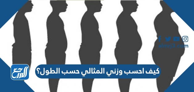 كيف احسب وزني المثالي حسب الطول؟