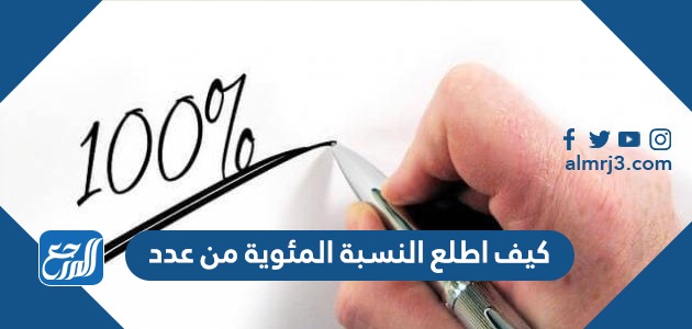 كيف اطلع النسبة المئوية من عدد