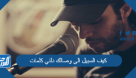 كيف السبيل الى وصالك دلني كلمات