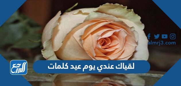 لقياك عندي يوم عيد كلمات