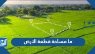 ما مساحة قطعة الارض